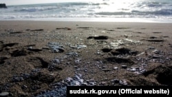 Крымское морское побережье, загрязненное мазутом. Архивное фото
