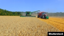 Уборка зерновых в Украине. Иллюстрационное фото