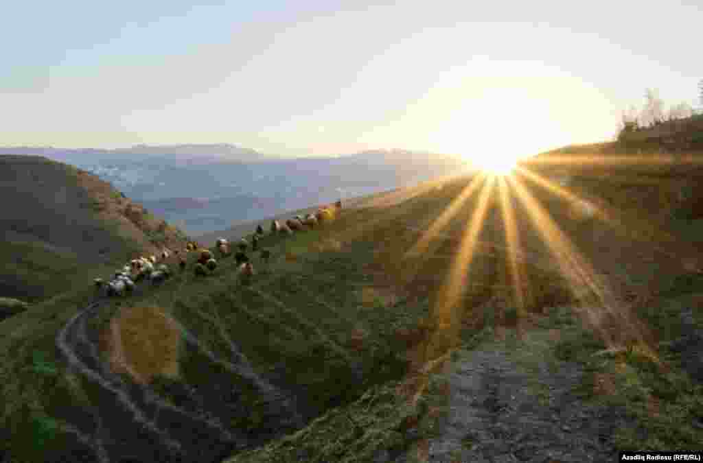 Село Ардабіль розташоване в гірській місцевості, і дістатися до нього навіть на автомобілі &ndash; завдання не з легких
