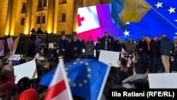 Predstavnik delegacije poslanika članica EU obraća se demonstrantima u Tbilisiju 11. novembra 2024.