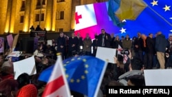 An EU delegation addresses a crowd of protesters in Tbilisi on November 11. 