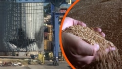 Українські фермери не можуть продати зерно через удари в Чорному морі. До чого це може призвести?