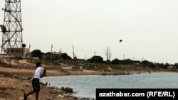 Hazaryň türkmen ýalpaklarynda, 2010-njy ýyl. 