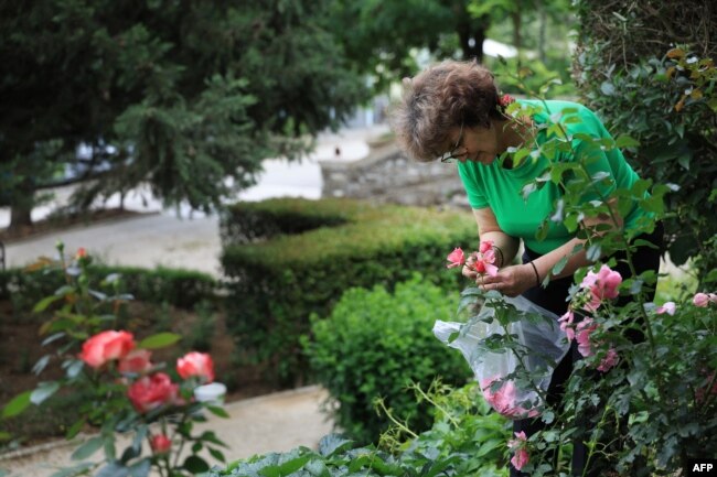 Ariana Nikolla duke mbledhur petalet e trëndafilit në Përmet.