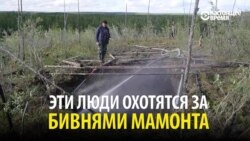 Охотники за бивнями мамонтов