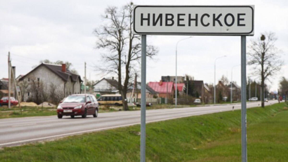 Купить Дом В Калининградской Области Пос Нивенское