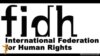 FIDH-ը կոչ է անում Թուրքիային ճանաչել Ցեղասպանության փաստը