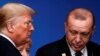 Білий дім: Трамп та Ердоган погоджуються щодо необхідності деескалації в Ідлібі