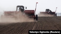 Agricultural workers plant soybeans near the village of Husachivka in the Kyiv region. 