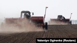 Міністерство аграрної політики повідомляло, що посівні площі для озимих в Україні цього року «з відомих всім причин» скоротилися на 20,4%