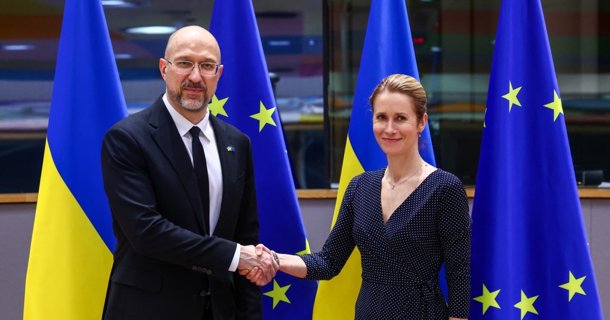 Шмигаль у розмові з Каллас «наголосив на важливості» закупівлі артилерійських снарядів Шмигаль у розмові з Каллас «наголосив на важливості» закупівлі артилерійських снарядів