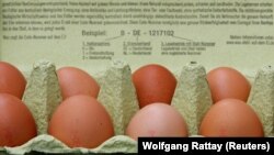 Куриные яйца в продаже в Германии. 4 августа 2017 года.