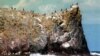 16x9 Image