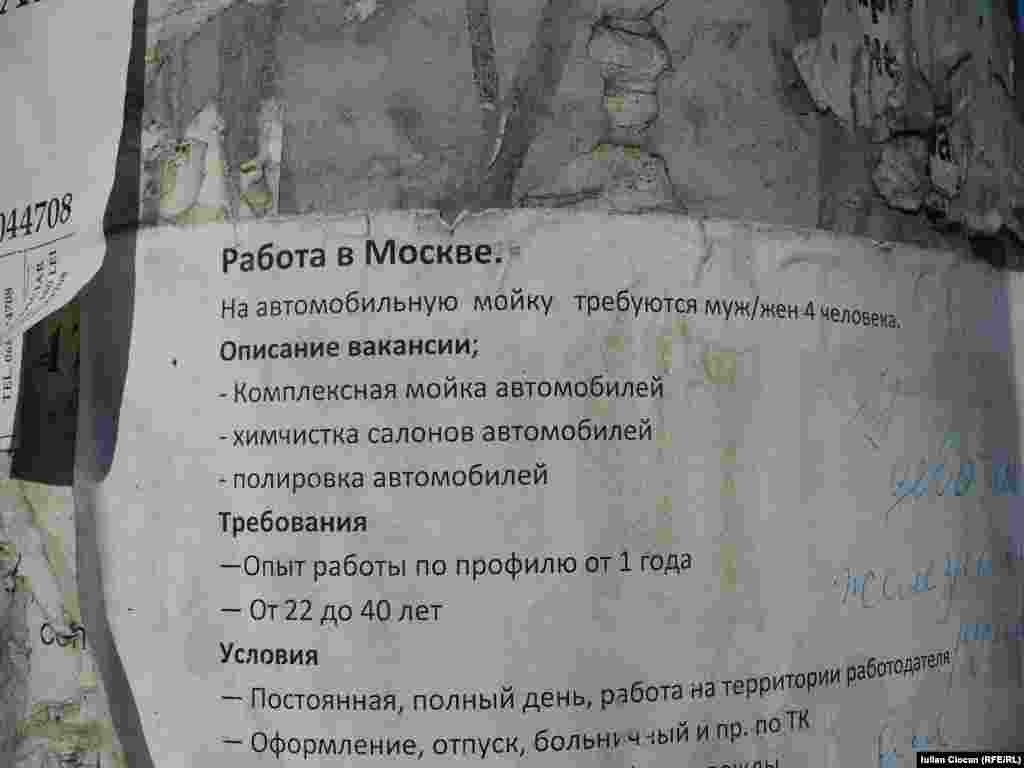 Ofertă de muncă la Moscova