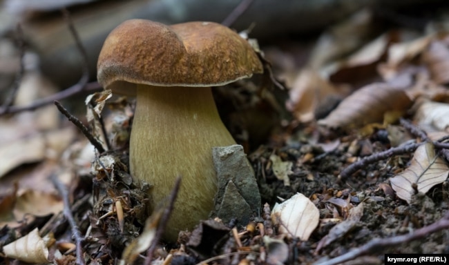 Ілюстрацыйнае фота