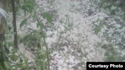 Аксы. 12-июль, 2017-жыл