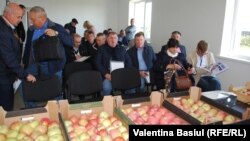 Întâlnirea producătorilor de mere, la Coșernița