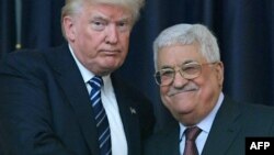 D.Trump və M.Abbas