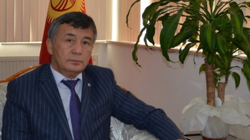 Комитет Өзбекстандагы элчи кызматына Жунусовдун талапкерлигин жактырды 