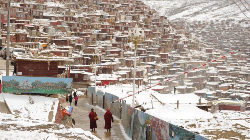Снегот на Тибет уби илјадници животни