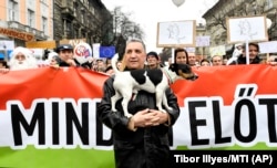 Supporters of the Two-Tailed Dog Party rally on the streets of Budapest in March 2018.