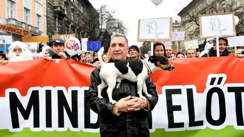 Cățelul cu Două Cozi: Partidul umoristic care ar putea prelua ștafeta opoziției din Ungaria