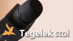 Türkmen-türk gepleşikleri: migrantlar ýatdan çykaryldymy?