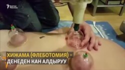 Эмне үчүн хижама кооптуу?