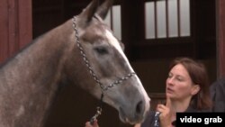 Çehiýa, türkmen aty