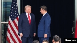 Tramp-Si Cinpin görüşü