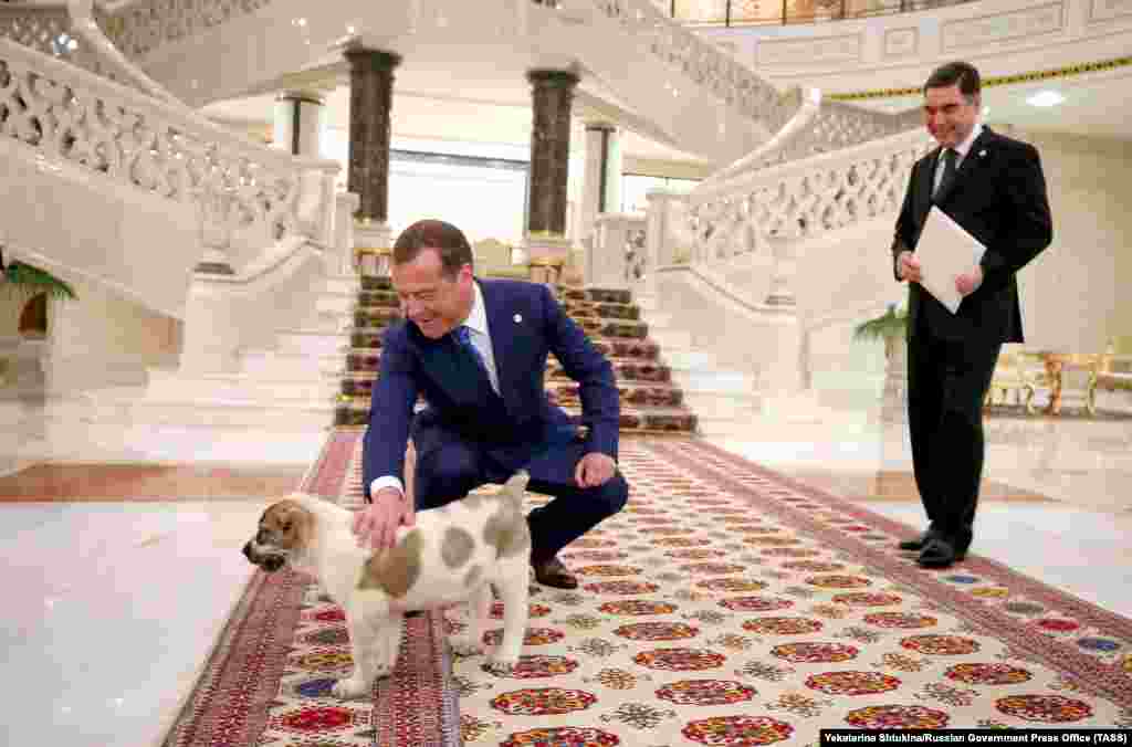 Russian Prime Minister Dmitry Medvedev pets a Central Asian Shepherd puppy presented to him by Turkmen President Gurbanguly Berdymukhammedov in Ashgabat. (TASS)