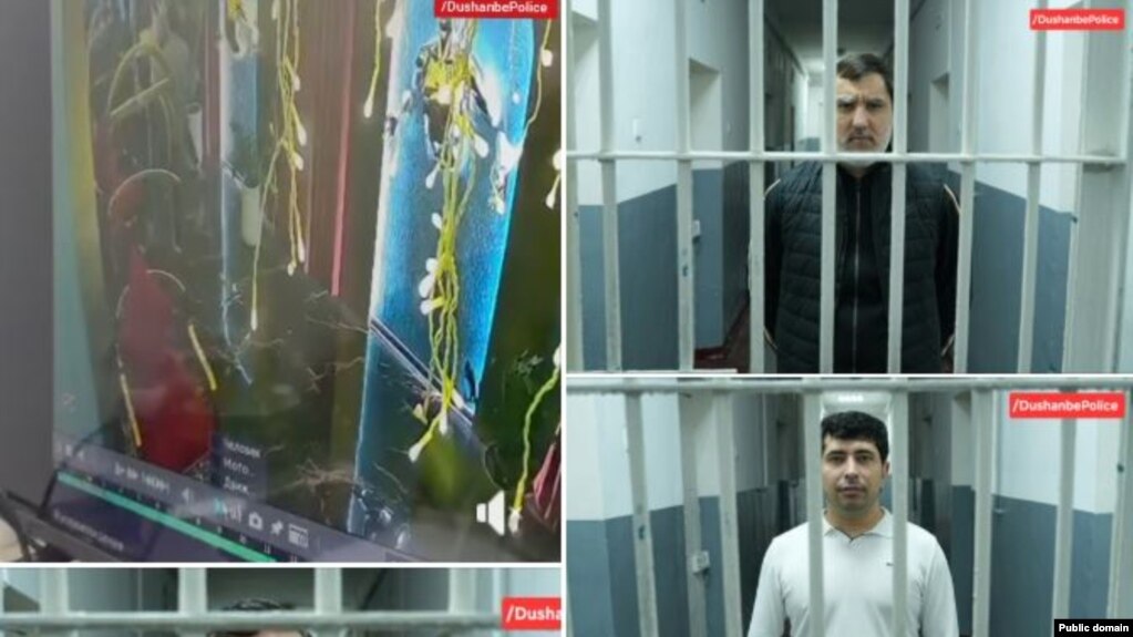 Занозанӣ байни фарзандони чеҳраҳои шинохта ва сарватманди тоҷик