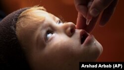 ارشیف، په پاکستان کې یوه ماشوم ته د واکسین د تطبیق یو انځور