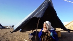 مهاجر برگشته در زیر خیمه