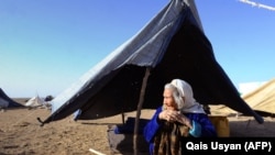 مهاجر برگشته در زیر خیمه