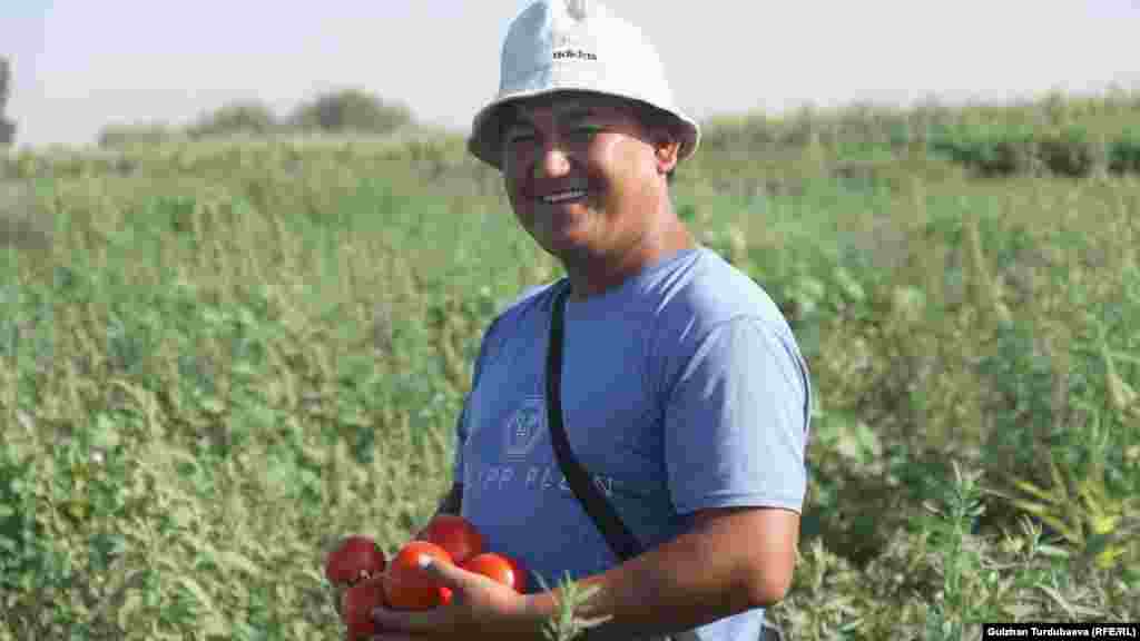 Сыдыгалы Ибраимов 10 жылдан бери помидор өстүрүп келет.