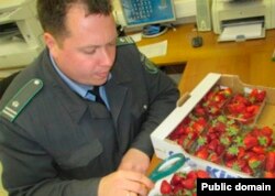 Belarus -- thrips strawberry