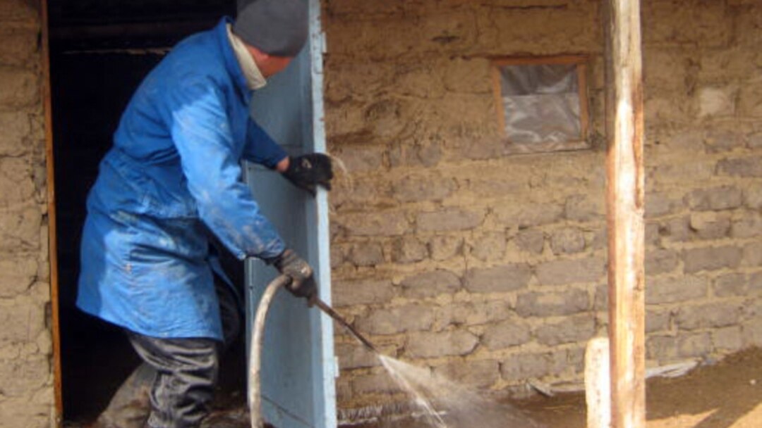 Бұлшық ет қыздармен порно