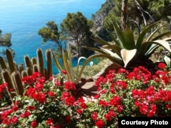 Ботанический сад Кап-Роч.