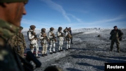 Danimarka, Almaniya və Fransa qoşunları Qrenlandiyanın Kanqerlussuaq bölgəsində keçirilən birgə hərbi təlimlərdə