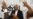 Positions 'Hard To Reconcile' At Iran Talks