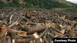 Armenia - Trees cut in Teghut forest in Lori province.