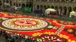 Найвідоміший килим із квітів у 1800 квадратних метрів розквітнув на Гран-Плас у Брюсселі