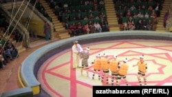 Moskwanyň döwlet sirki Aşgabatda