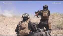 Iraqi Forces Reportedly Halted Outside Fallujah