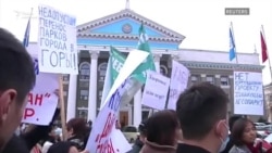 Активисты Кыргызстана выступили против вырубки деревьев в Бишкеке