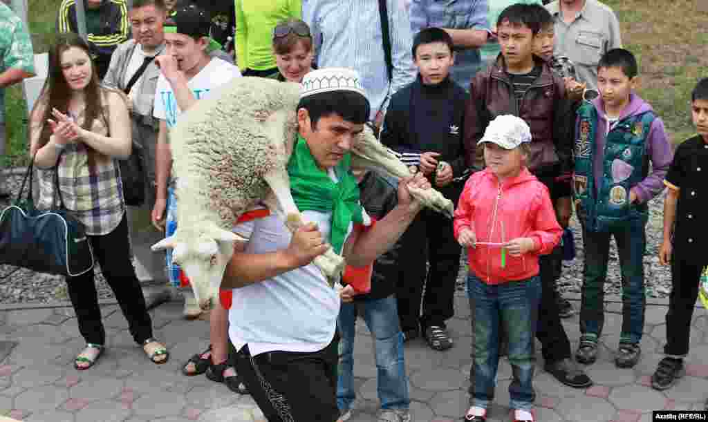 Омски Сабантуенда көрәш батыры Әскәр Таушев бүләк тәкә белән