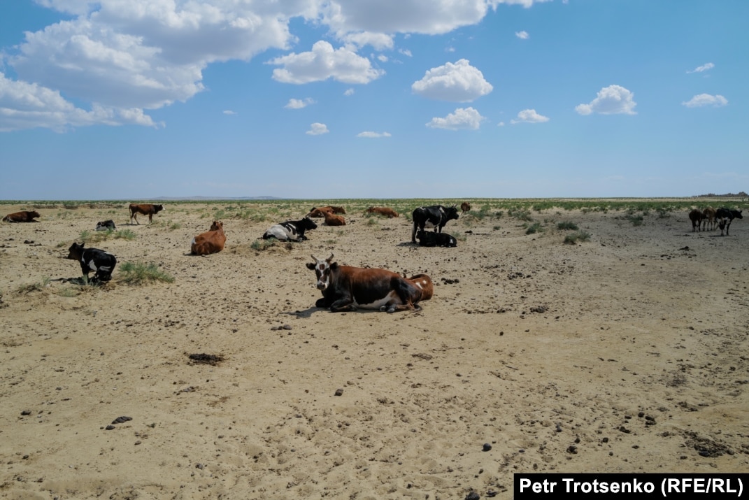 Ichkarida jinsiy aloqa pornosi Madalinskaya Yekaterina erotik fotosuratlar