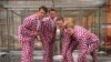 The Norwegian men&#39;s curling team shows off their Loudmouth Golf-designed uniforms.