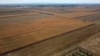 Bijeljina Agriculture/Bosnia and Herzegovina